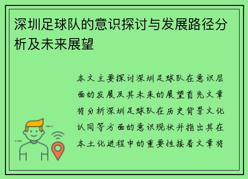 深圳足球队的意识探讨与发展路径分析及未来展望